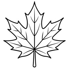 Graceful maple leaf outline vector