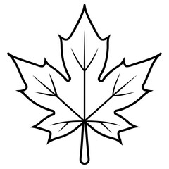 Graceful maple leaf outline vector