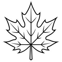 Graceful maple leaf outline vector