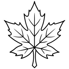 Graceful maple leaf outline vector