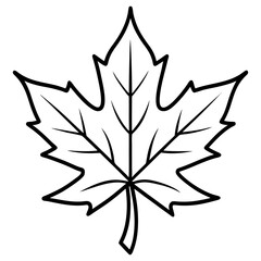 Graceful maple leaf outline vector