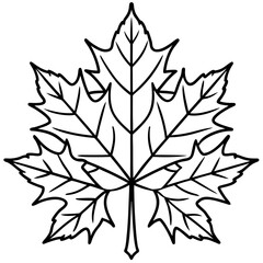 Graceful maple leaf outline vector