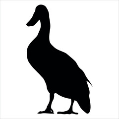 Farm Animal Duck Silhouette Vector Illustration
