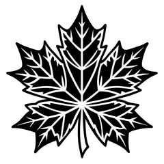 Graceful maple leaf outline vector