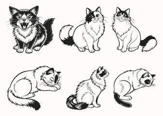 Ragdoll Cat silhouette vector illustration isolated on white background.