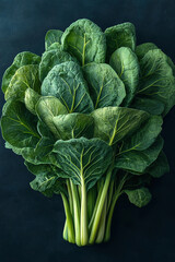 Vibrant Green Bok Choy Bunch Fresh Produce