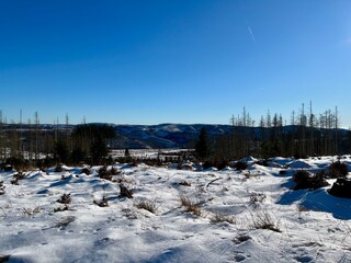 Eine Wanderung von Sieber bei Herzberg zu Hansk&uuml;hnenburg (Auf dem Acker)