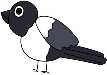 Magpie, Magpie bird, Black and white bird, Korean magpie, 
Magpie in tree, Korean traditional bird