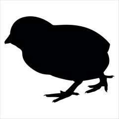 Farm Animal Duck Silhouette Vector Illustration