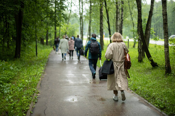 People are walking down wet road. People in park. Walking on rainy day.