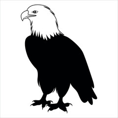 American Eagle Bird Silhouette Vector illustration