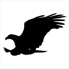 American Eagle Bird Silhouette Vector illustration