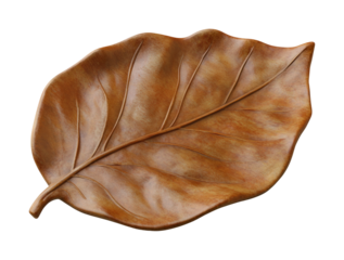 Realistic clay animation of leaf platter nature inspired indoor display rustic home artistic perspective isolated on transparent background