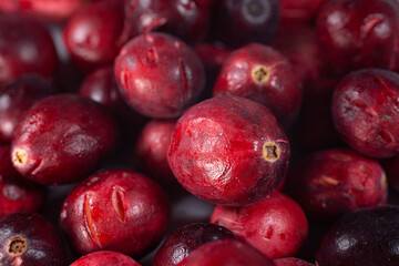 Close-up of freeze-dried cranberries, some whole and others halved, showcasing their vibrant red color and airy texture. Perfect for snacks, baking, or as a healthy topping.