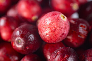 Close-up of freeze-dried cranberries, some whole and others halved, showcasing their vibrant red color and airy texture. Perfect for snacks, baking, or as a healthy topping.
