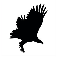 American Eagle Bird Silhouette Vector illustration