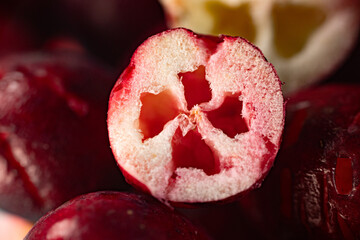 Close-up of freeze-dried cranberries, some whole and others halved, showcasing their vibrant red color and airy texture. Perfect for snacks, baking, or as a healthy topping.