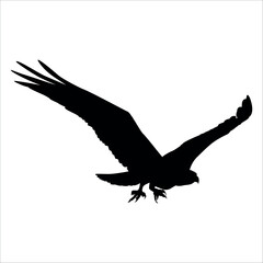 Fototapeta premium American Eagle Bird Silhouette Vector illustration
