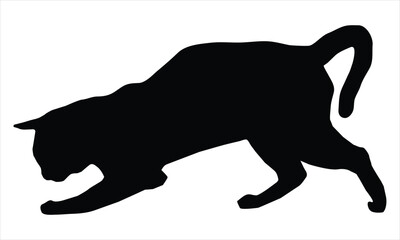 silhouette of a cat