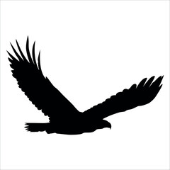 American Eagle Bird Silhouette Vector illustration