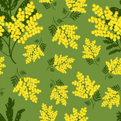 Seamless spring floral pattern blooming mimosa on green background for packaging, paper and fabric design