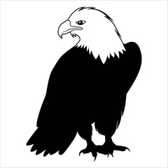 American Eagle Bird Silhouette Vector illustration