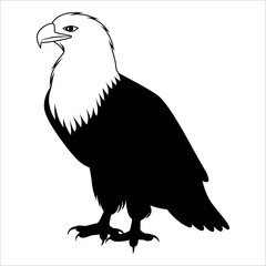 American Eagle Bird Silhouette Vector illustration
