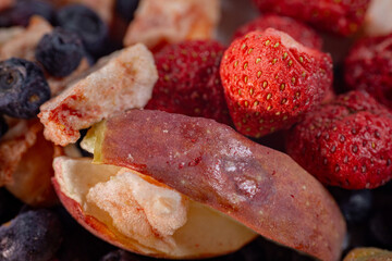 A colorful mix of freeze-dried blueberries, blackberries, strawberries, raspberries, and apple slices on a white surface. Vibrant textures and natural colors highlight their freshness and nutritional 