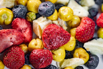 A vibrant close-up of freeze-dried plums, apples, rhubarb, strawberries, and blueberries. The variety of textures and colors highlights their natural and preserved state.