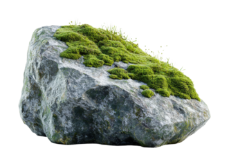 Moss-covered rocky stone in nature close-up view natural environment outdoor concept for serenity and growth isolated on transparent background