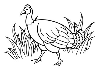 turkey bird isolated on white background. Vector illustration in cartoon flat style. Illustration for greeting cards, printing and other design projects.