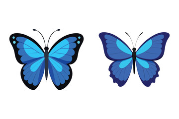  blue morpho butterfly insect vector illustration set.