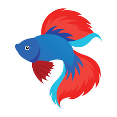 betta fish vector illustration.