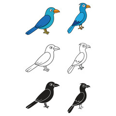  indian roller bird vector illustration set
