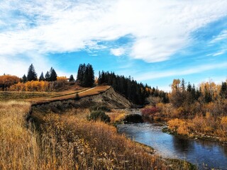 Autumn Lake with Beaver Dam