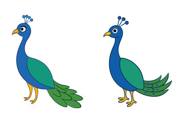 peacock bird vector illustration.