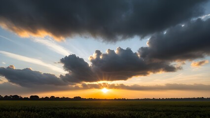 sunset in the field