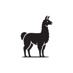 Black Color Llama silhouette design Vector Illustration, Solid White Background (12).eps