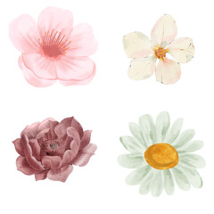 "Elegant Flower Illustrations Bundle: Hand-Drawn Floral Designs for Creative Projects"