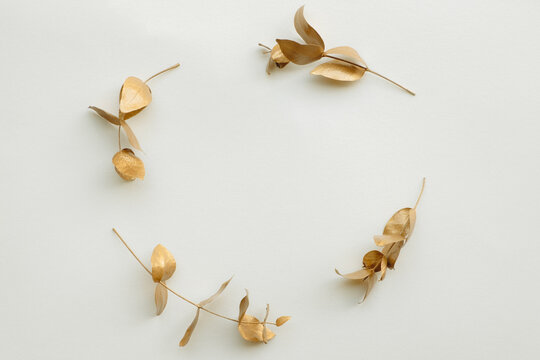 golden leaves on white background as botanical frame flatlay, eco design and spring nature flat lay concept