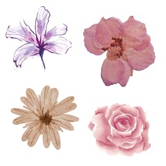 "Elegant Flower Illustrations Bundle: Hand-Drawn Floral Designs for Creative Projects"