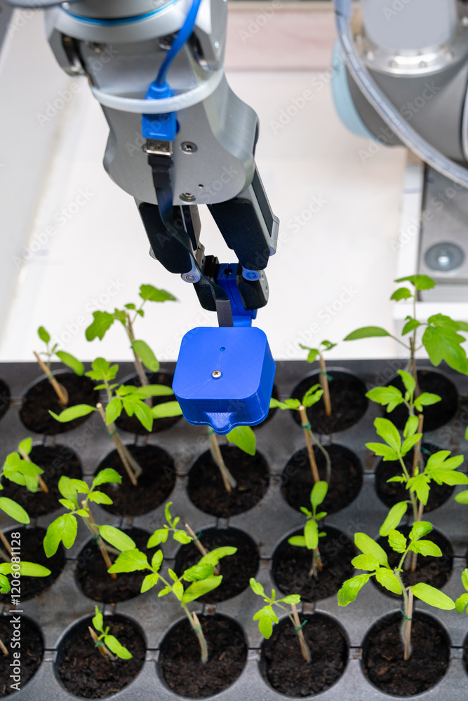 Aufkleber A robot in a greenhouse evaluates the quality of tomato seedlings using a sensor. Smart farming