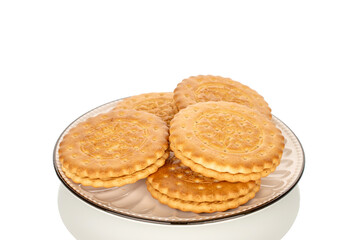 Several sweet delicious cookies on a ceramic saucer, close-up, isolated on a white background.