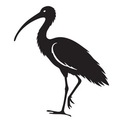 Ibis Bird Silhouette Vector Illustration Elegant Black and White Design