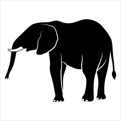 Animal Elephant silhouette vector illustration