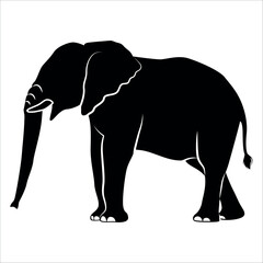 Animal Elephant silhouette vector illustration