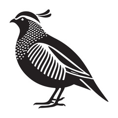 California Quail Silhouette Vector Illustration