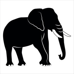 Animal Elephant silhouette vector illustration