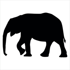 Animal Elephant silhouette vector illustration