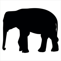 Animal Elephant silhouette vector illustration